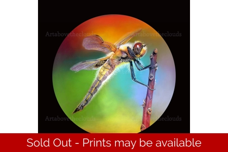 A Living Flash Of Light